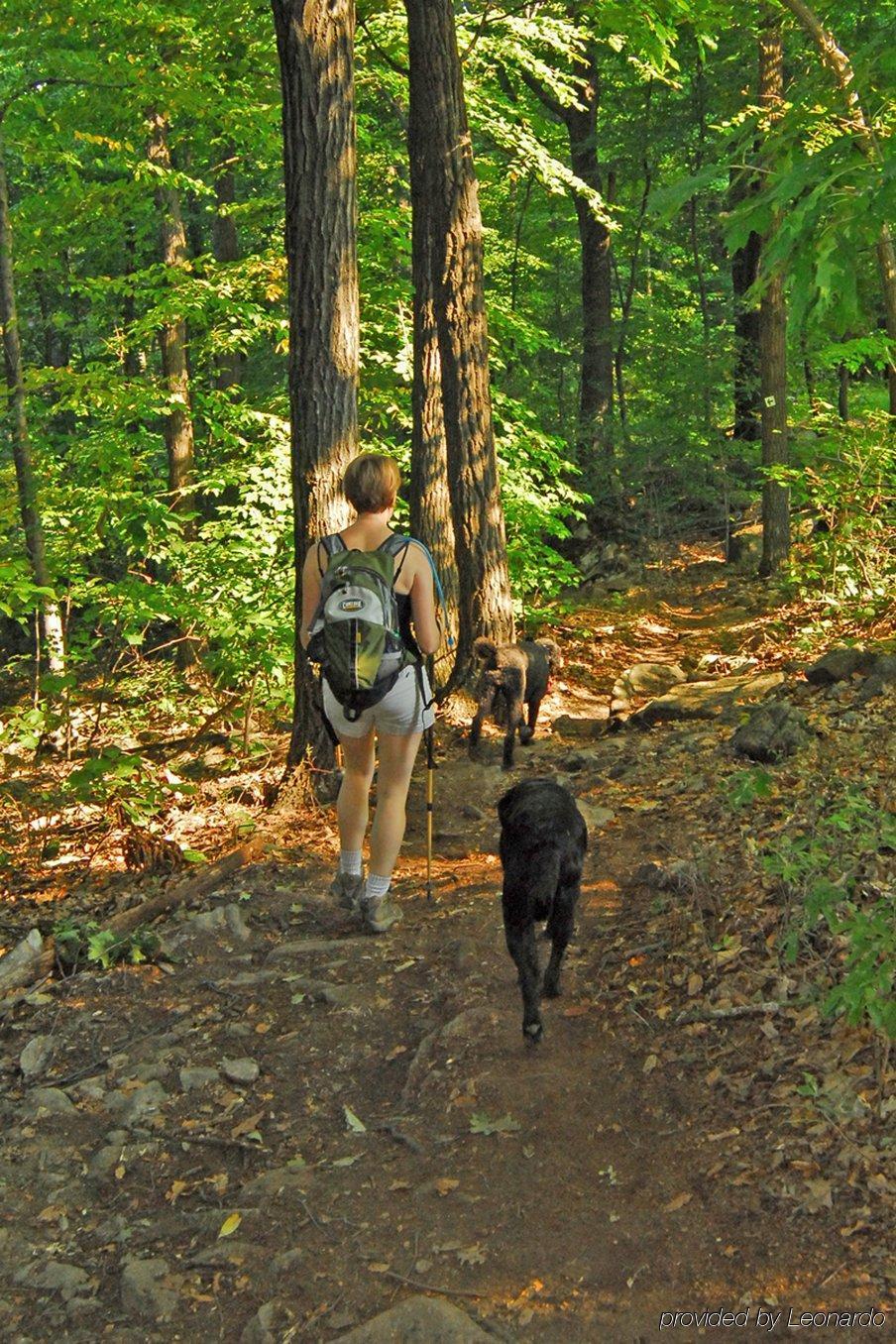 Bear Creek Mountain 3*